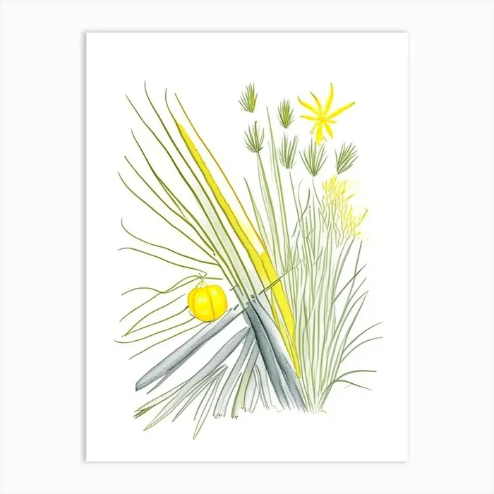 Lemon Grass Spices And Herbs Pencil Illustration 5 Art PrintHH by Herbaceous Hues
