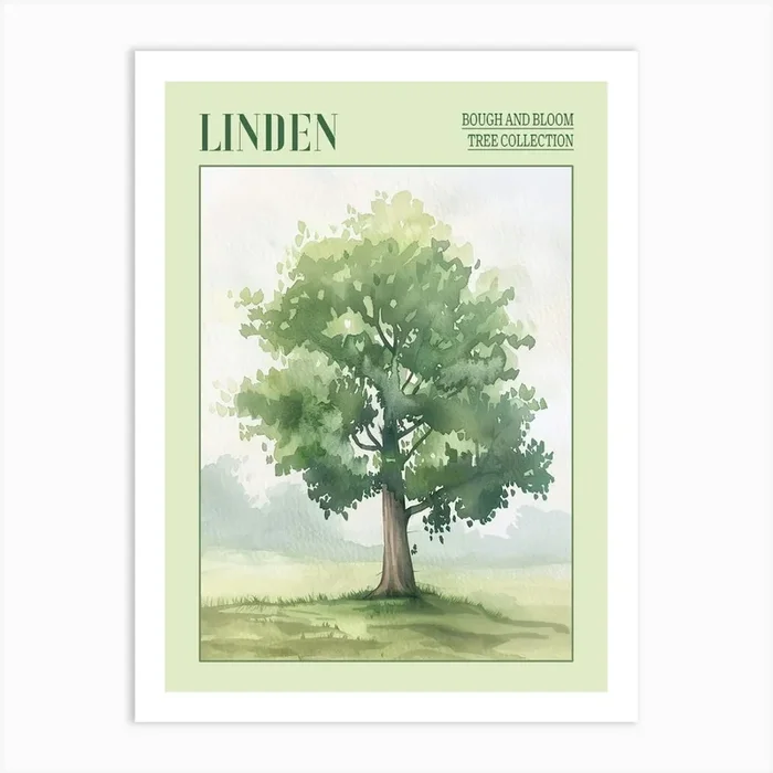 Linden Tree Atmospheric Watercolour Painting 2 Poster Art Print by Bough And Bloom Artistry