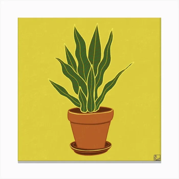Long Leaved Plant Square Canvas Print by Be Martt