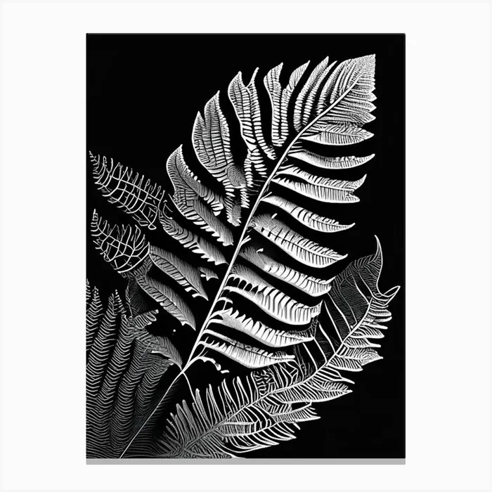 Maidenhair Fern Leaf Linocut 2 Canvas PrintL& by Leaf & Stem Studio