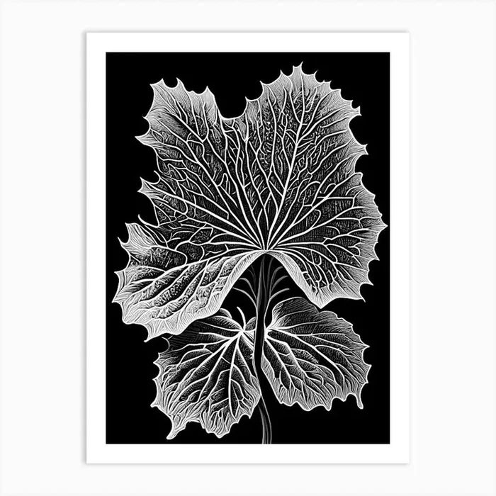 Malva Leaf Linocut 1 Art PrintL& by Leaf & Stem Studio