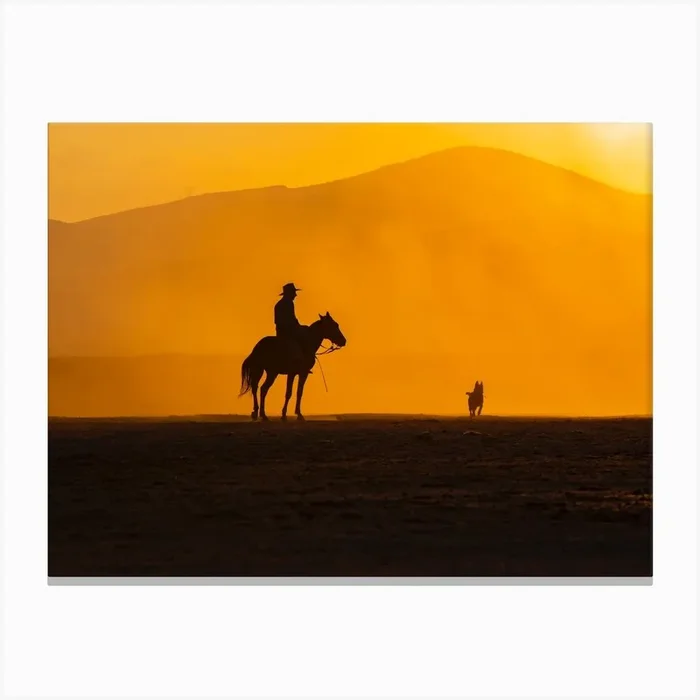 Mans Best Friends Canvas Print by 1x