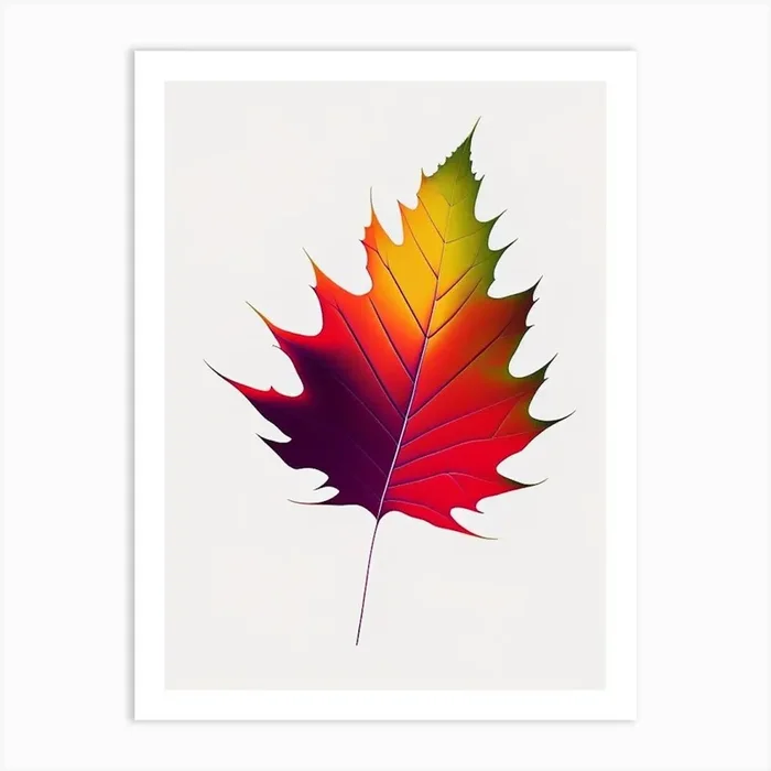Maple Leaf Abstract 5 Art PrintL& by Leaf & Stem Studio