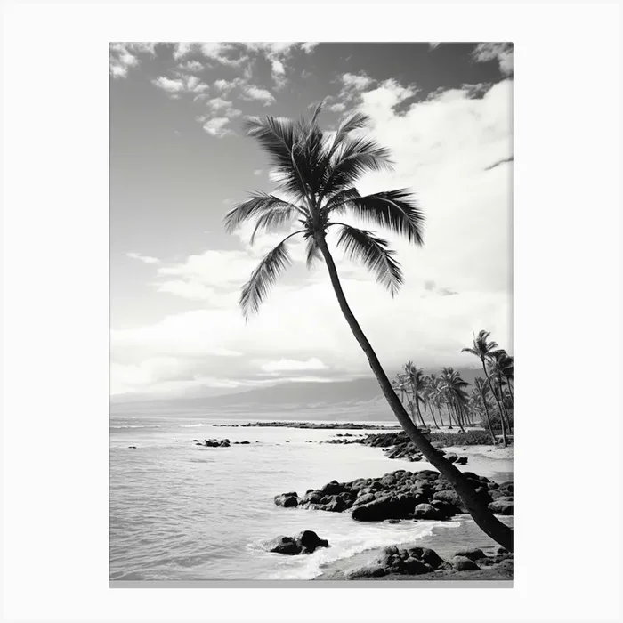 Maui Black And White Analogue Photograph 1 Canvas Print by Monochrome Vistas