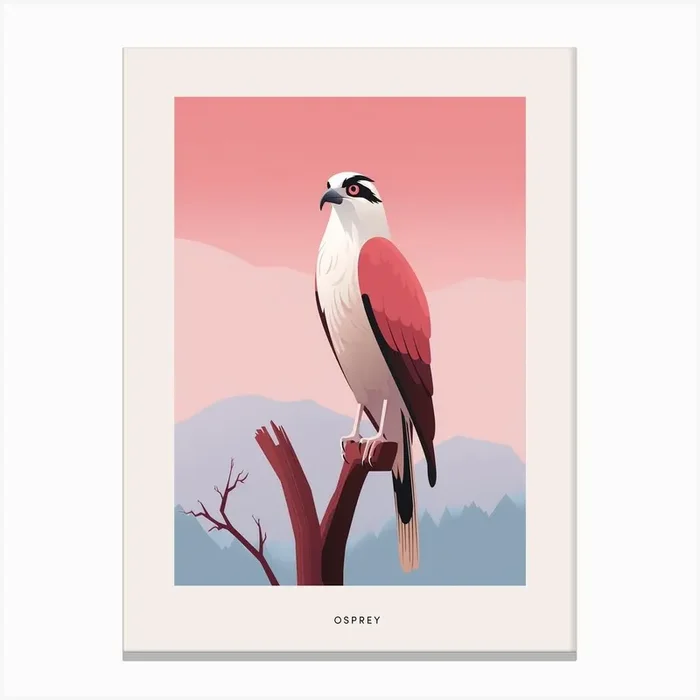 Minimalist Osprey 3 Bird Poster Canvas Print by Feathered Muse