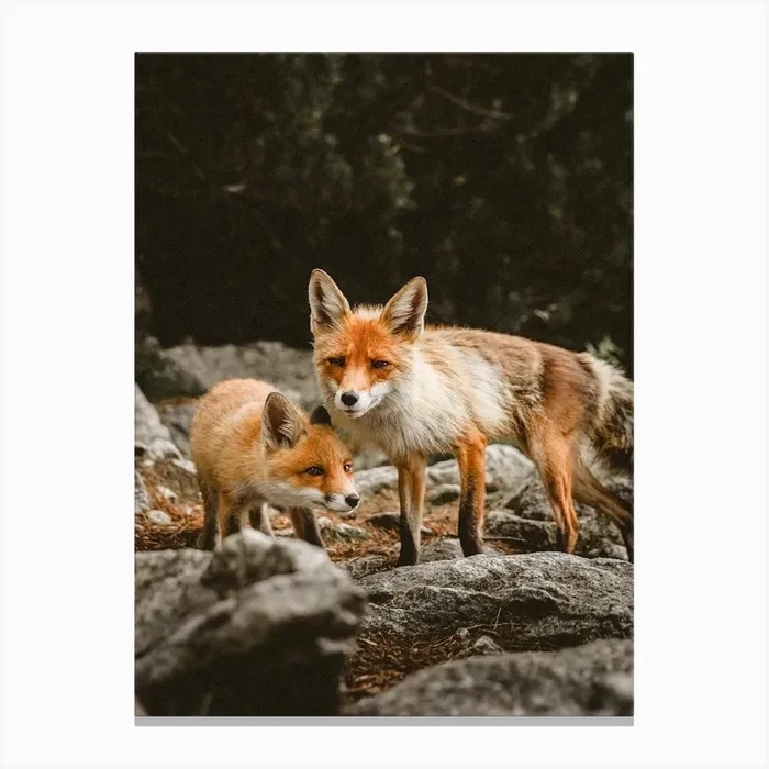 Mom And Baby Fox Canvas Print by Boheme At Home