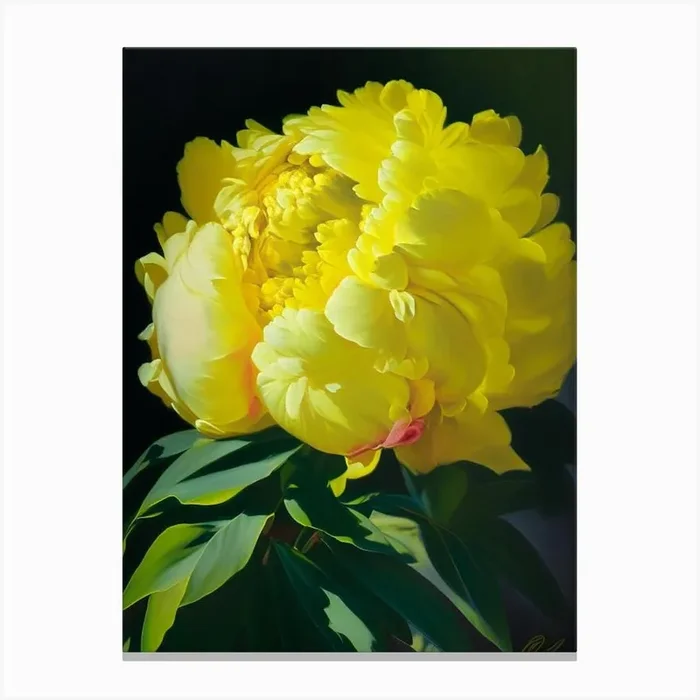 Monsieur Jules Elie Peonies Yellow Colourful 1 Painting Canvas Print by Petal Peonies