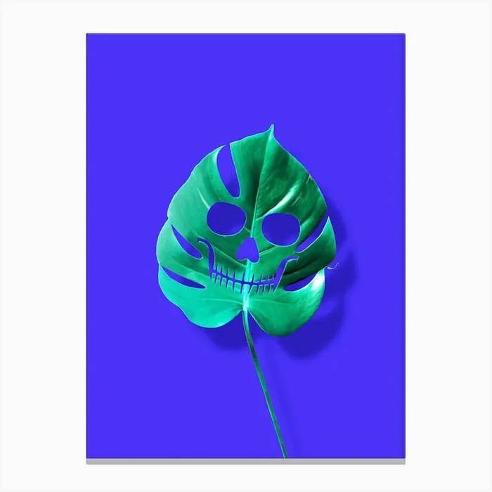 Monstera Canvas Print by 360brain