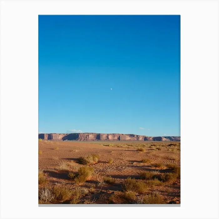 Navajo Nation V on Film Canvas Print by Bethany Young
