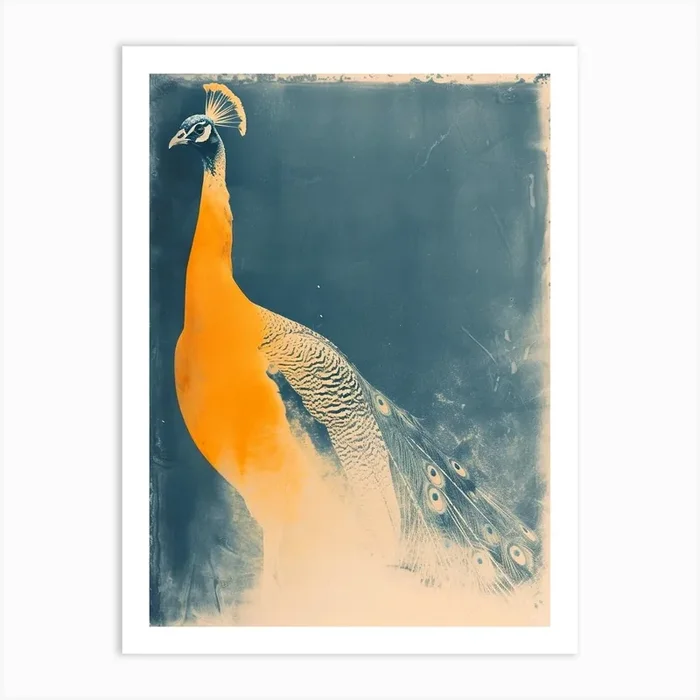Navy Blue & Orange Vintage Photo Peacock Art Print by Featherline