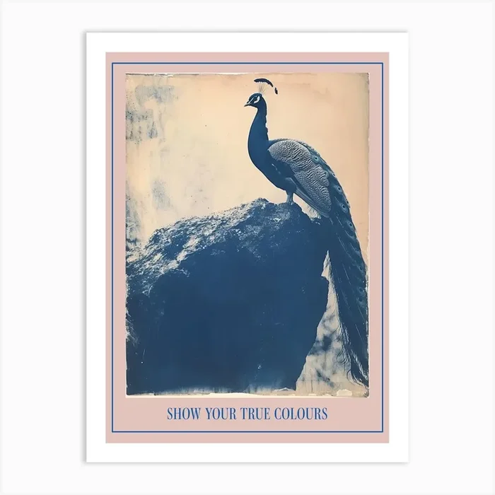Navy Blue Peacock Portrait Cyanotype Inspired 3 Poster Art Print by Featherline