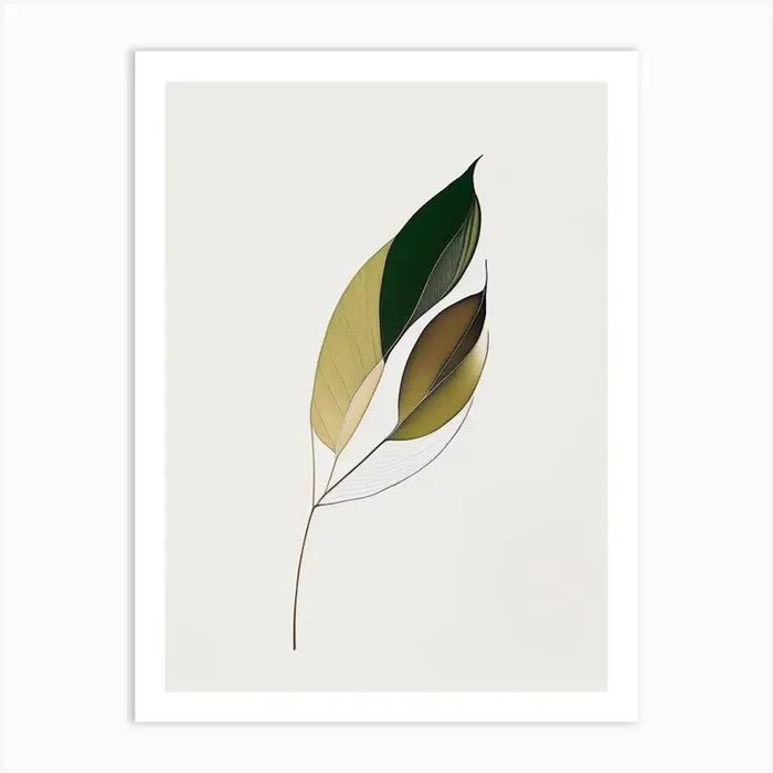 Olive Leaf Abstract Art PrintL& by Leaf & Stem Studio