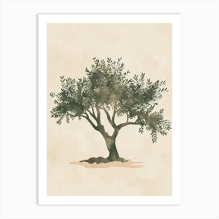 Olive Tree Minimal Japandi Illustration 3 Art Print by Bough And Bloom Artistry