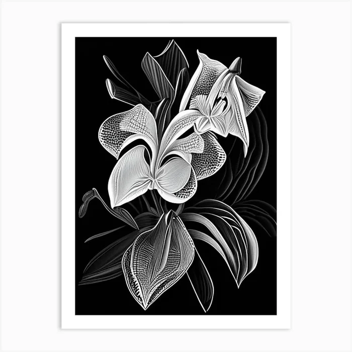Orchid Leaf Linocut 2 Art PrintL& by Leaf & Stem Studio