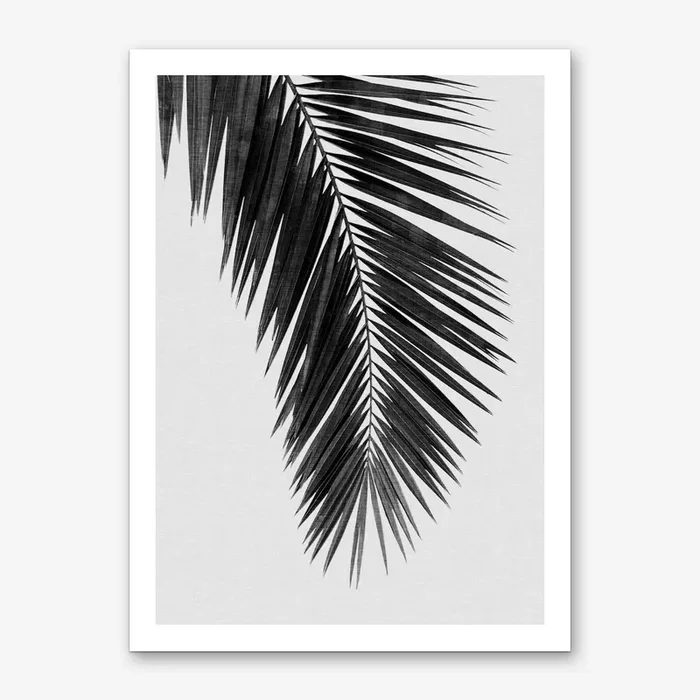 Palm Leaf Black & White I Art Print by Orara Studio