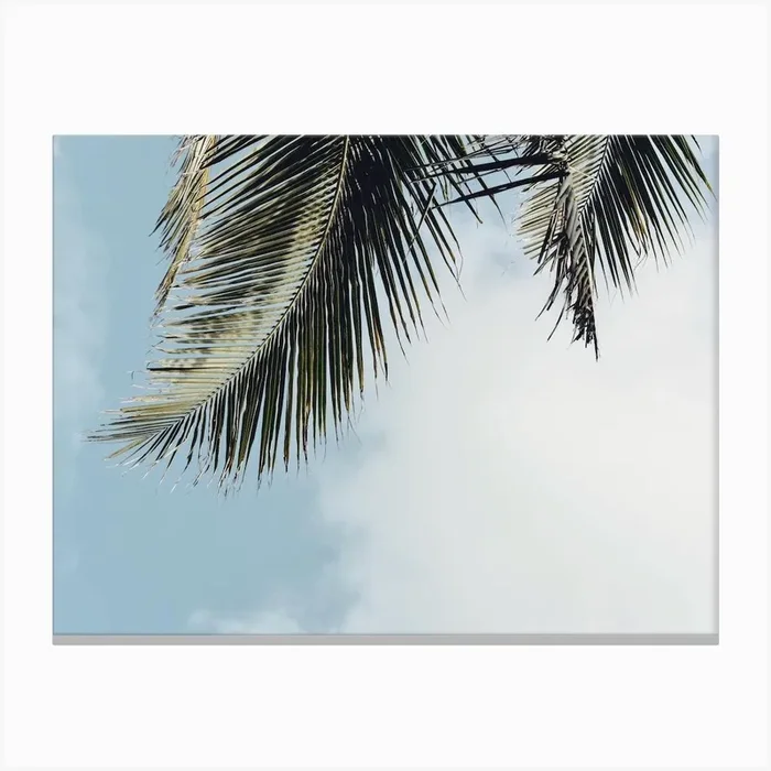 Palm Leaf Sky Canvas Print by Alameda