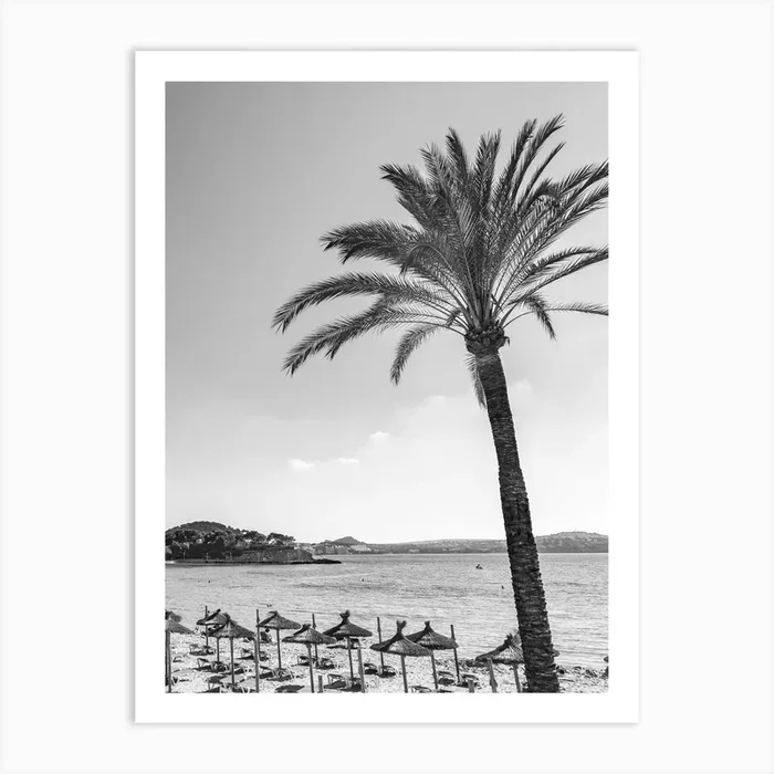 Palm tree Black And White Photo Art Print by imagine