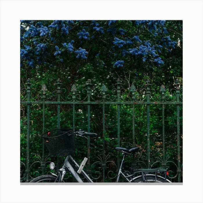 Paris Bicycle Square Canvas Print by Bethany Young