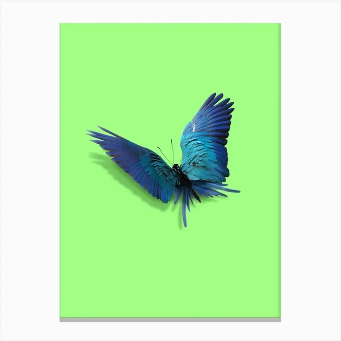 Parrot Butterfly Canvas Print by 360brain