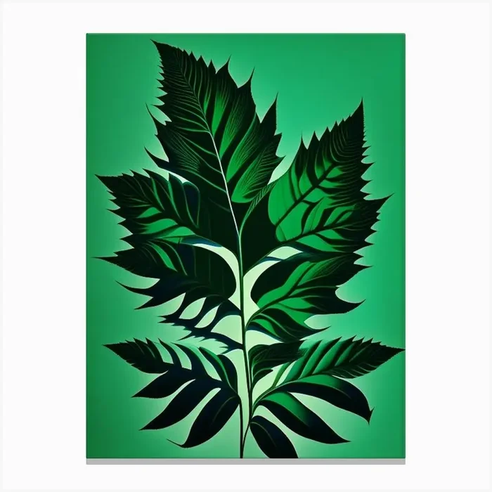 Pennyroyal Leaf Vibrant Inspired 2 Canvas PrintL& by Leaf & Stem Studio