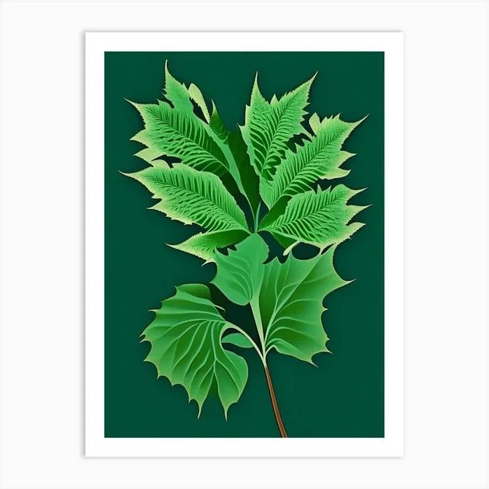Pennyroyal Leaf Vibrant Inspired 4 Art PrintL& by Leaf & Stem Studio
