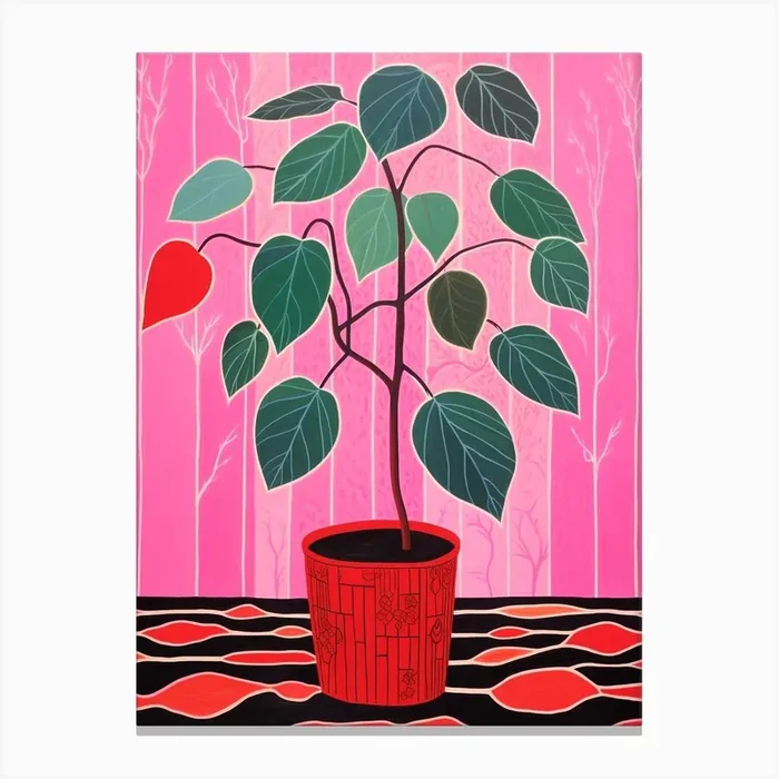 Pink And Red Plant Illustration Rubber Plant Ruby Ficus 1 Canvas Print by Botanic Studio