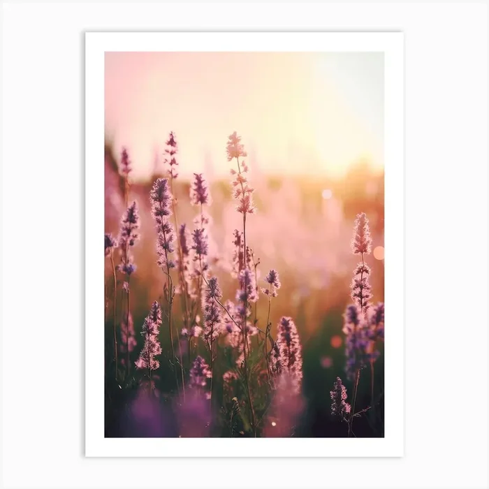 Pink Sunset Art Print by Treechild
