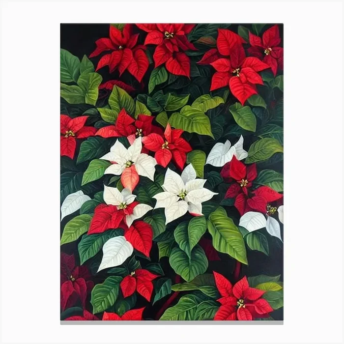 Poinsettia Jpeg Flower Canvas Print by The Artsy Florist