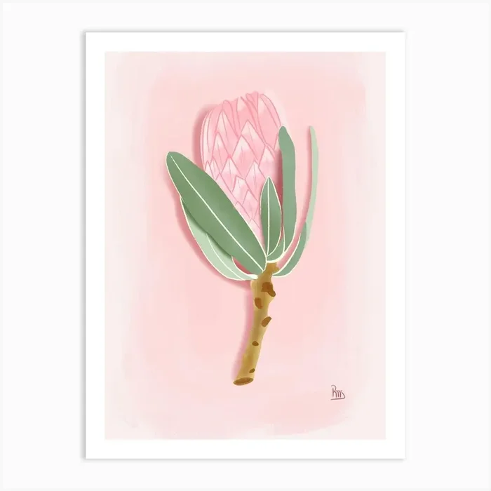Protea Flower Gouache Digital Art Print by LauRoxan
