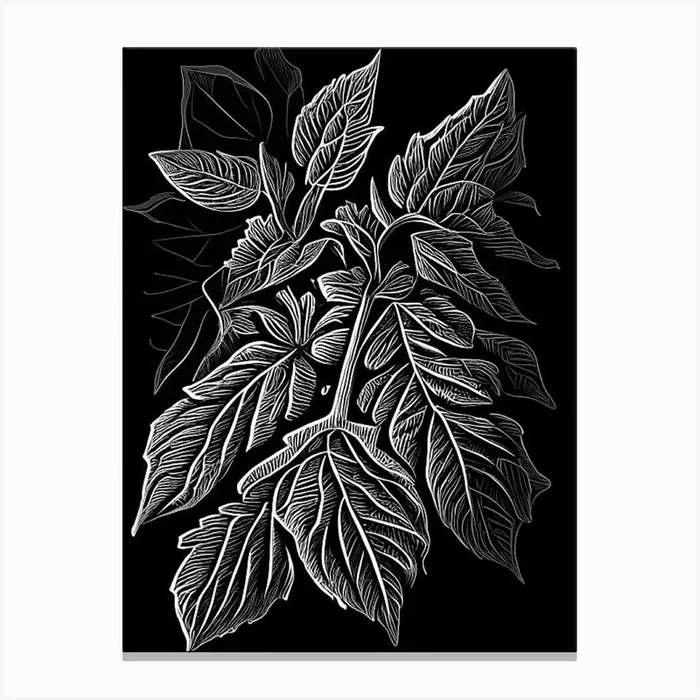 Raspberry Leaf Linocut 1 Canvas PrintL& by Leaf & Stem Studio