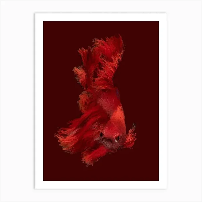 Red Betta Fish in Line Sketch Art PrintAB by Andika Bahtiar