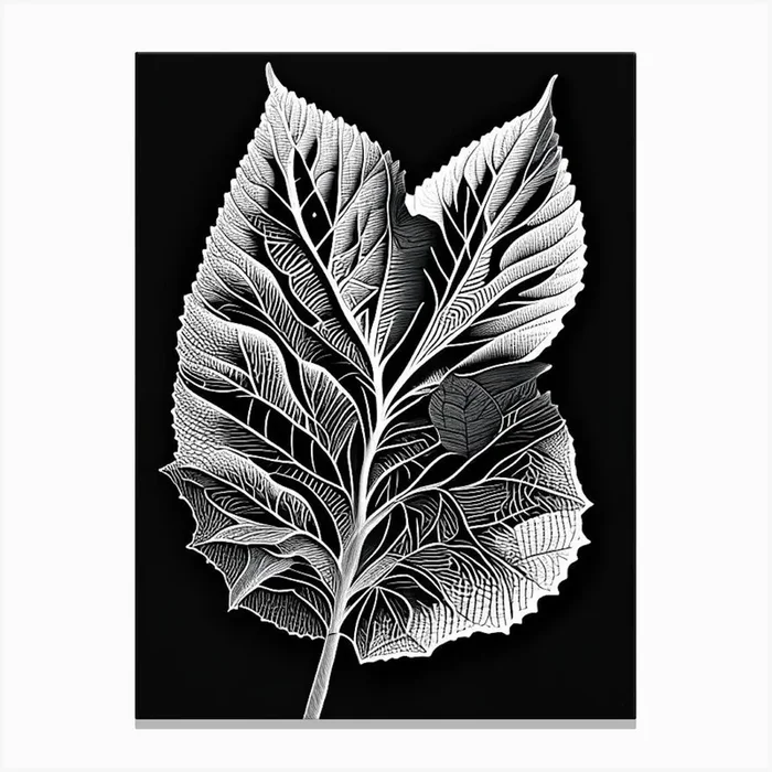 Redbud Leaf Linocut 2 Canvas PrintL& by Leaf & Stem Studio