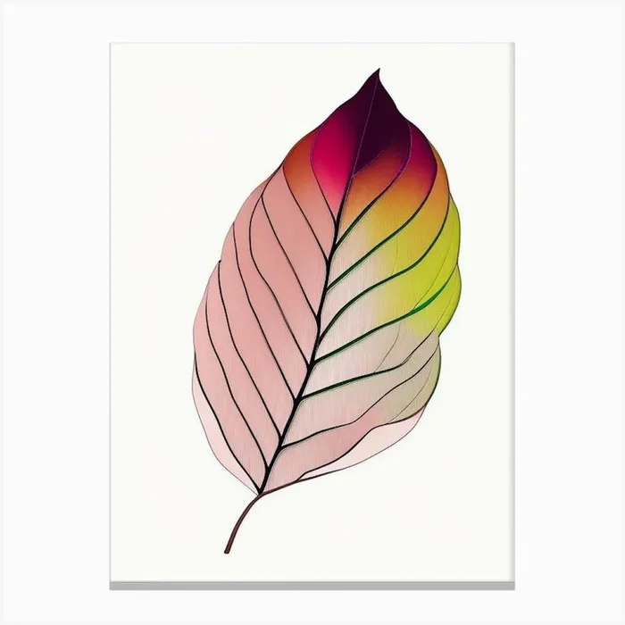 Rhododendron Leaf Abstract Canvas PrintL& by Leaf & Stem Studio