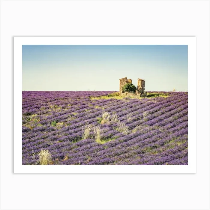 Ruin In The Lavender Art Print by Manjik Pictures