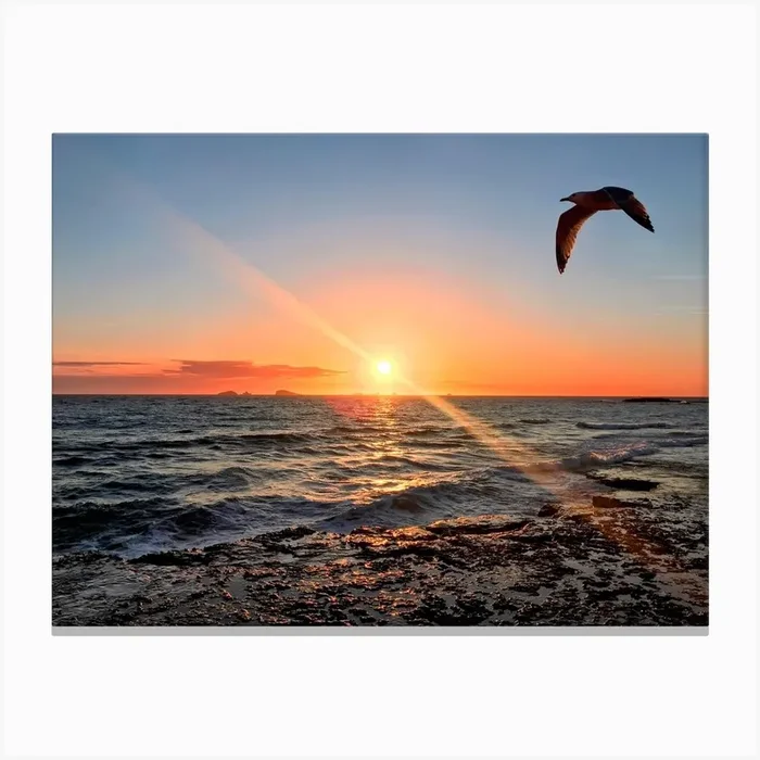 Seagull Flying Over The Ocean At Sunset in Ibiza (Spain Series) Canvas Print by Artscapes by Silver
