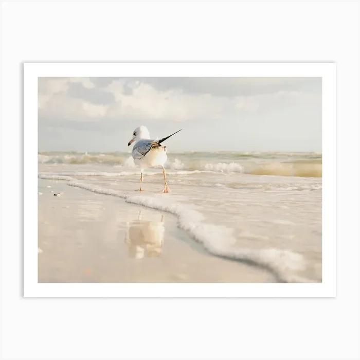 Seagull In Ocean Art Print by Boheme At Home