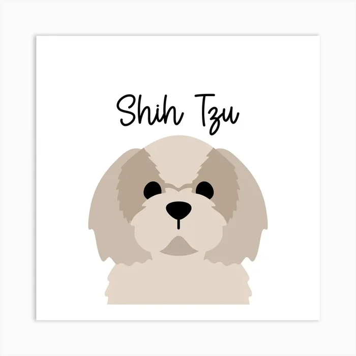 Shih Tzu Art PrintSD by Sanqunetti Design