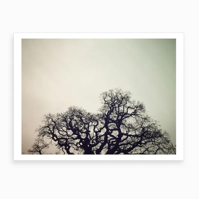 Skeleton Tree Art Print by Florian Schleinig