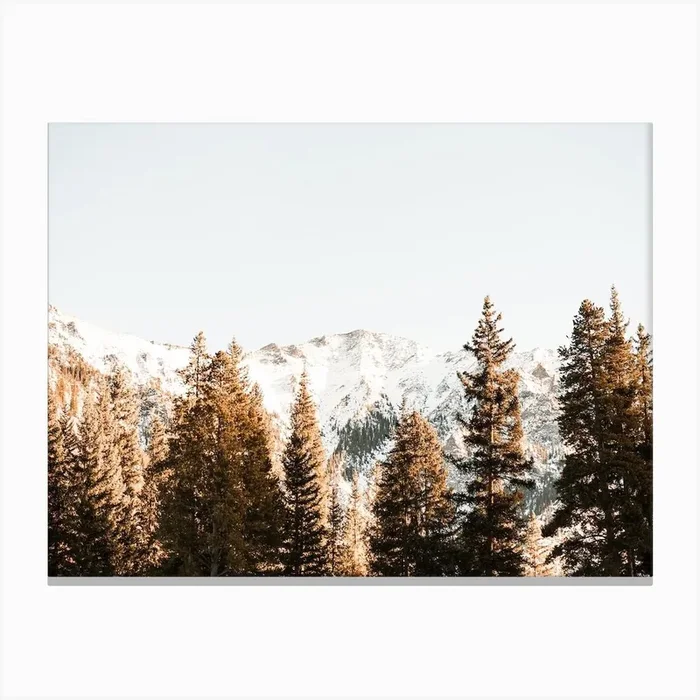Snow Covered Mountain Forest Canvas Print by Boheme At Home