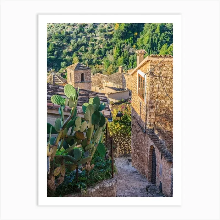 Spain Mallorca, Cactus In The Village Art Print by imagine