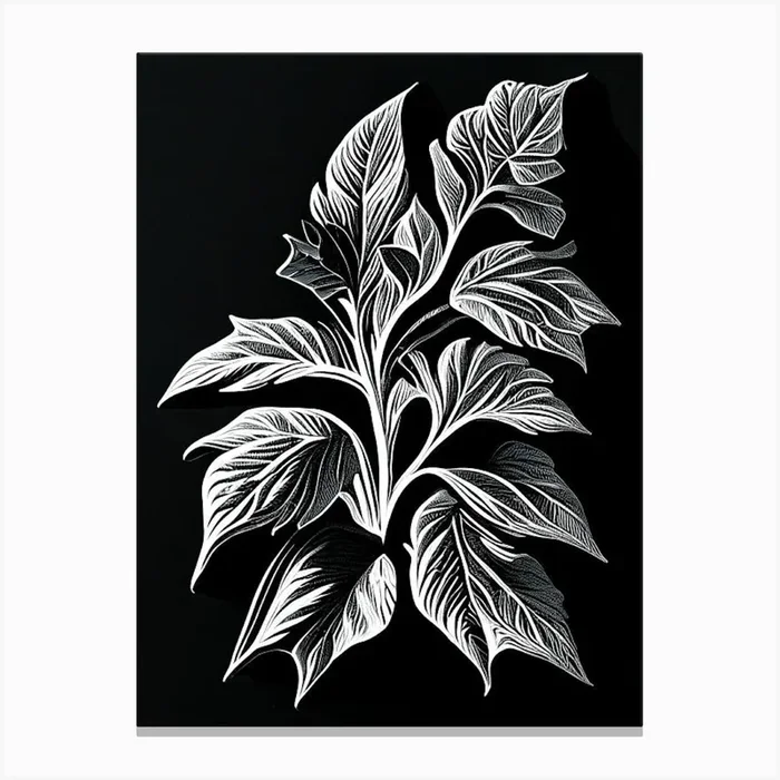Spearmint Leaf Linocut 1 Canvas PrintL& by Leaf & Stem Studio