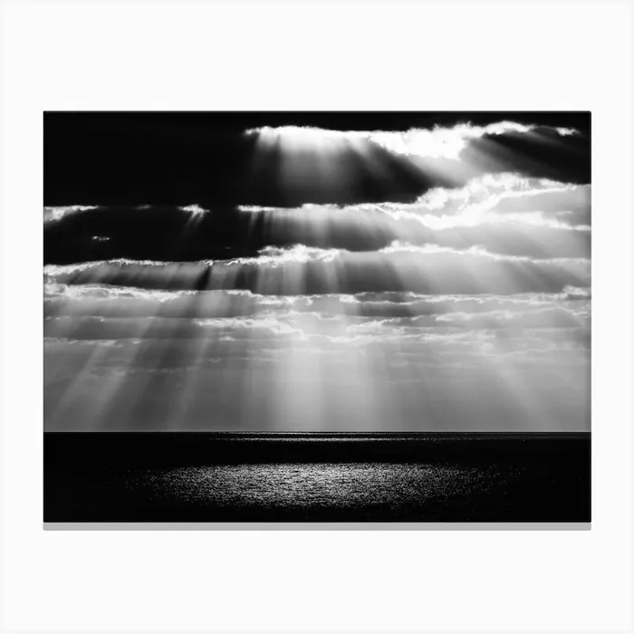 Spot Canvas Print by Tal Paz-Fridman