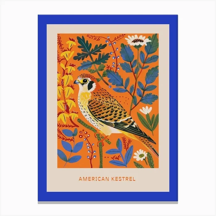 Spring Birds Poster American Kestrel 1 Canvas Print by Feathered Muse