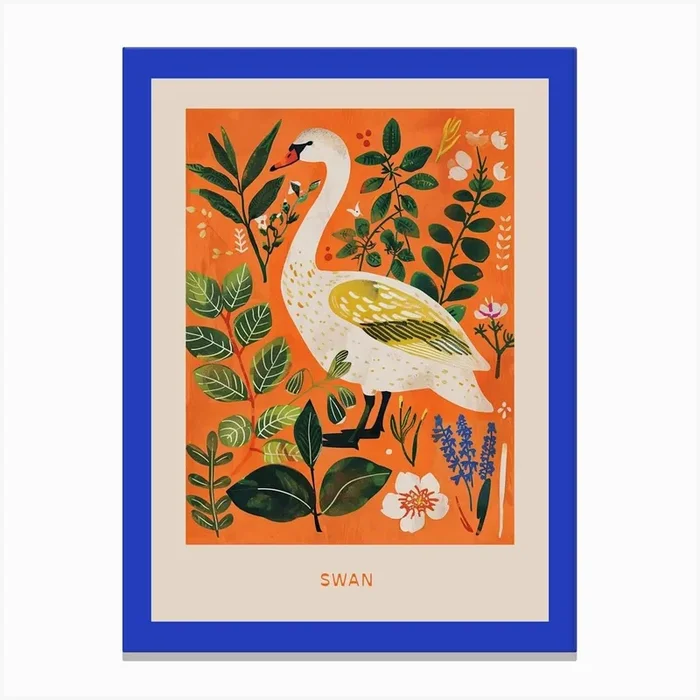 Spring Birds Poster Swan 2 Canvas Print by Feathered Muse