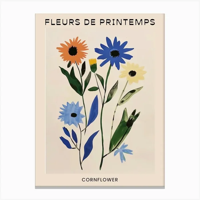 Spring Floral French Poster Cornflower 3 Canvas Print by Botanic Studio