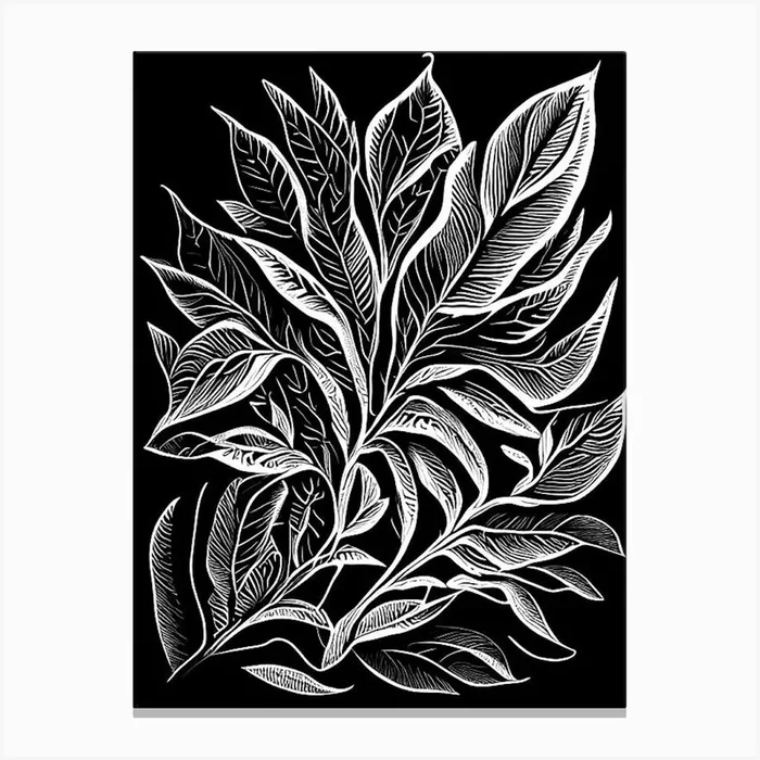Stevia Leaf Linocut 4 Canvas PrintL& by Leaf & Stem Studio
