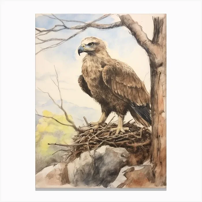 Storybook Animal Watercolour Eagle 2 Canvas Print by Scribble Studio