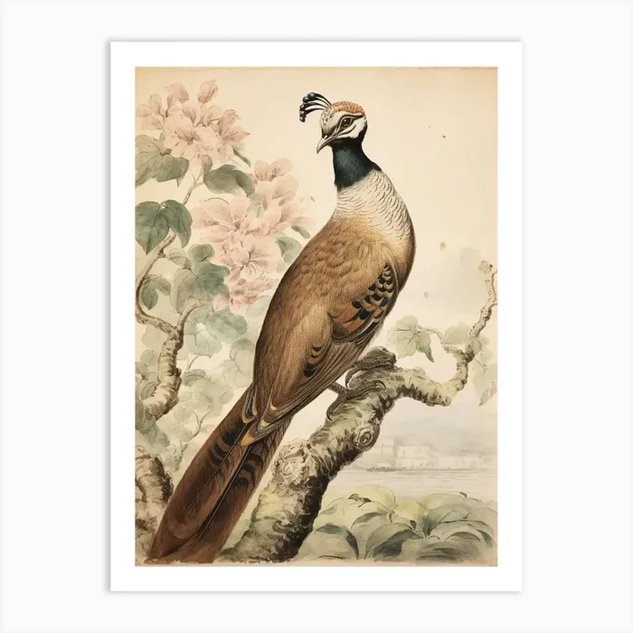 Storybook Animal Watercolour Peacock 2 Art Print by Scribble Studio