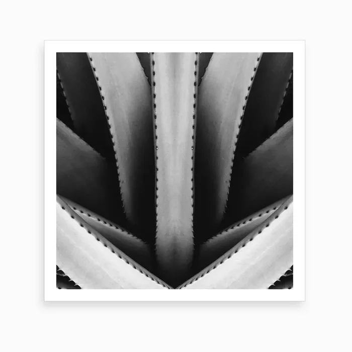 Stuck In The Middle Bw Art Print by Wanderlost & Found
