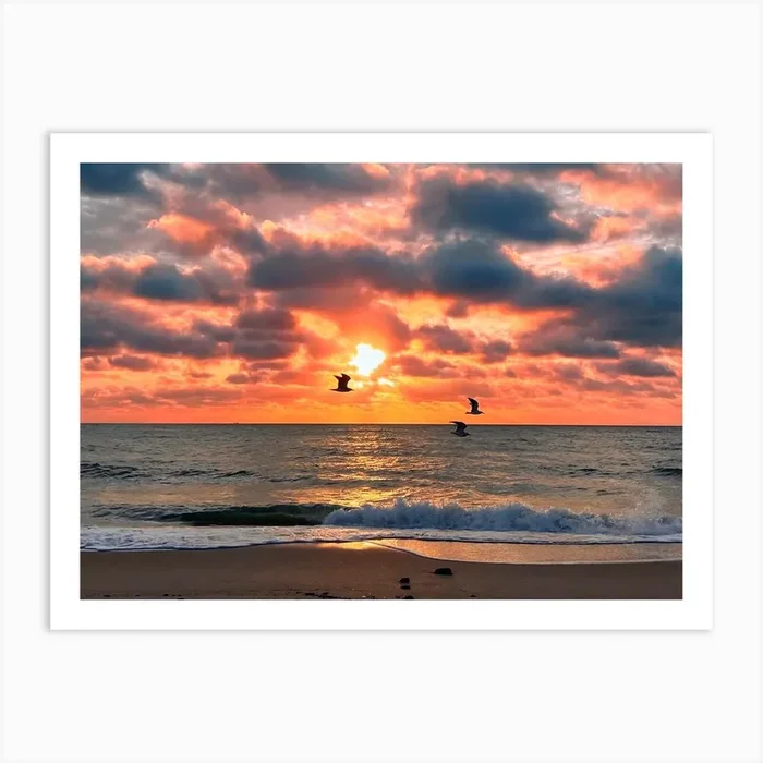 Sunset And Birds At The Fort Lauderdale Beach Art Print by Artscapes by Silver